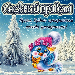 Птичка в шапочке передает снежный привет