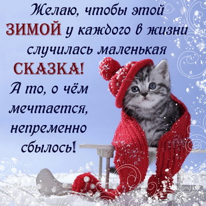 Картинка с милым котёнком в шарфике