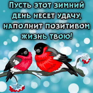 Снегири на ветке и зимнее пожелание