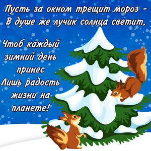 Милая картинка с белочками и зимним пожеланием