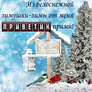 Открытка с приветиком из белоснежной зимы