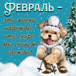 Картинка с забавной собачкой на февраль