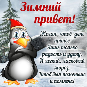 Картинка с пингвином передающим зимний привет